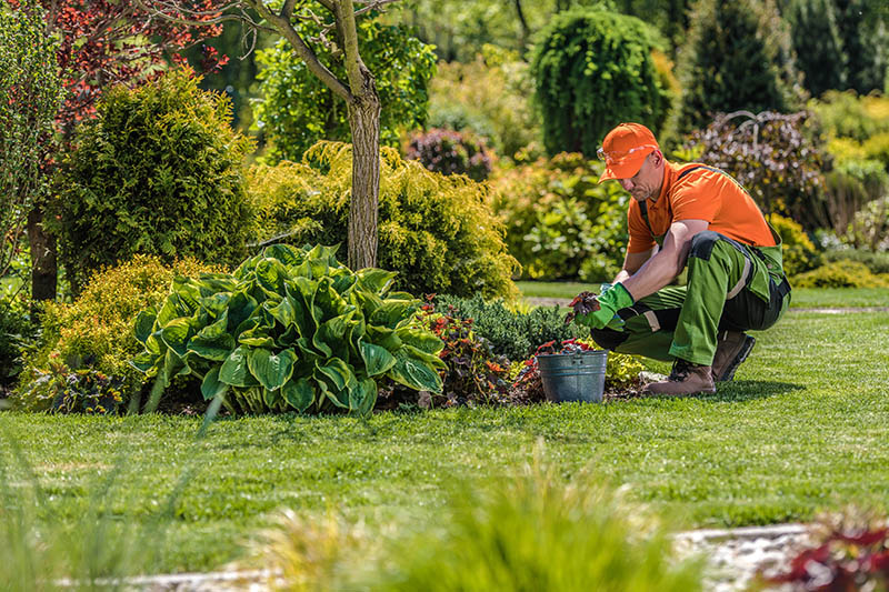 Création de jardin Mende
