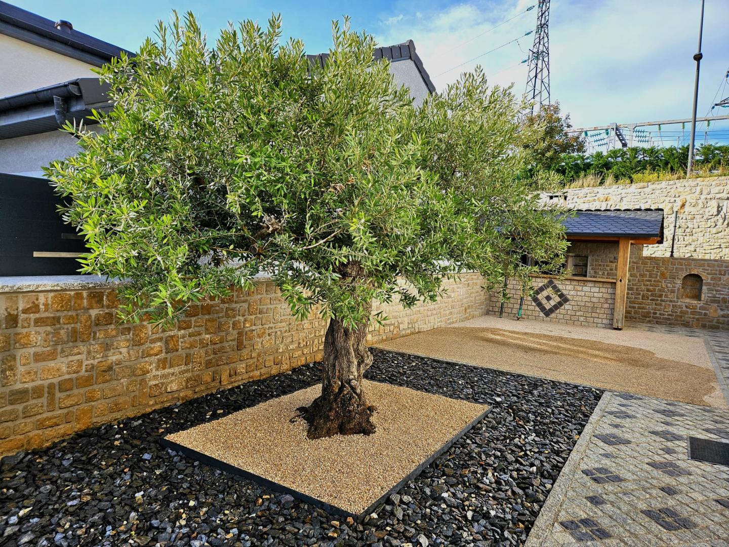 Création de jardin Mende